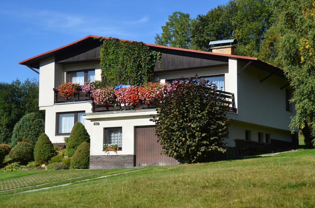 Apartman Braun Rokytnice nad Jizerou Room photo
