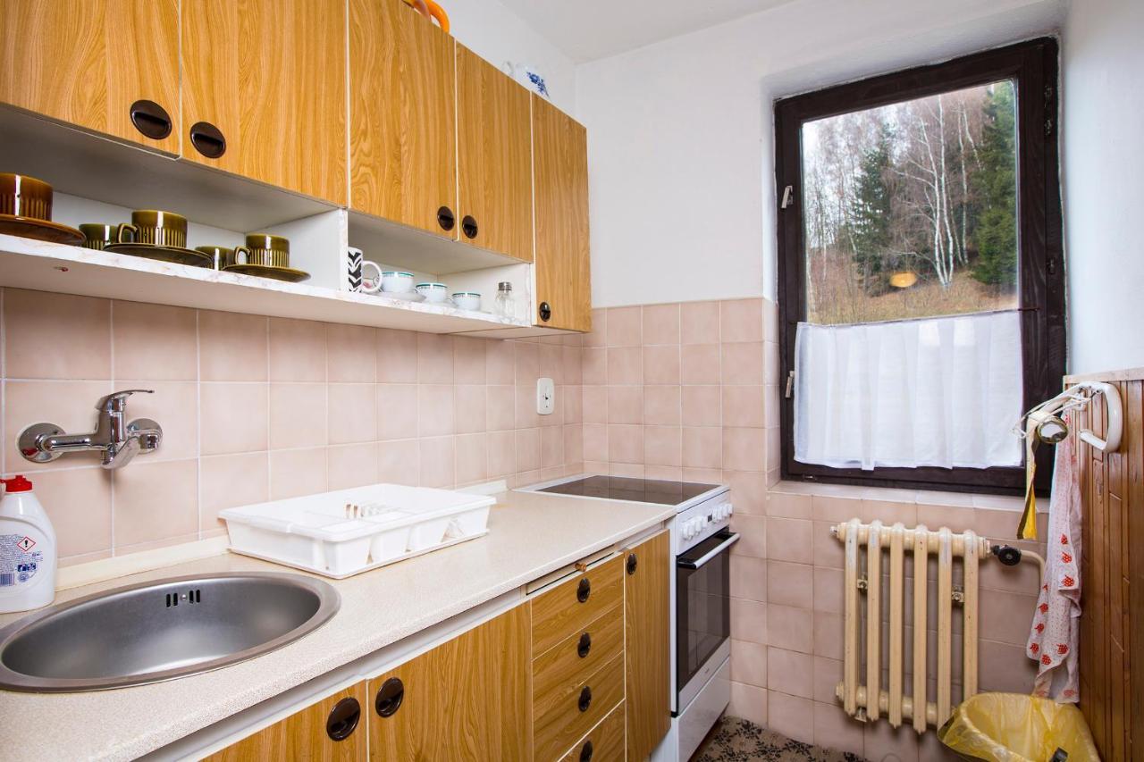 Apartman Braun Rokytnice nad Jizerou Exterior photo